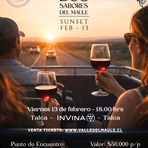 Bus sabores del Maule