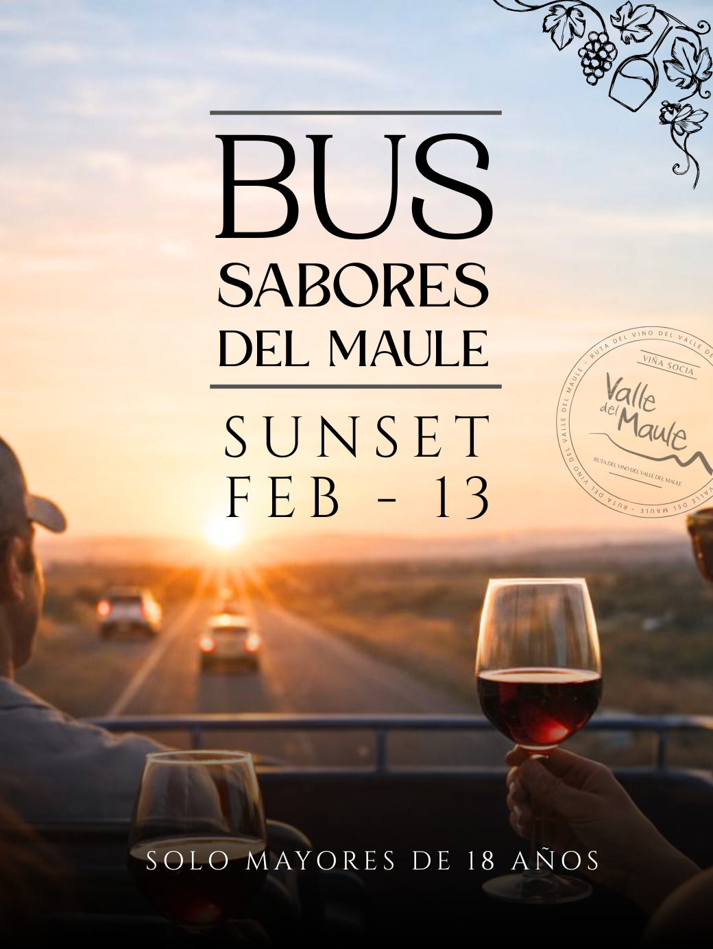 bus sabores del maule